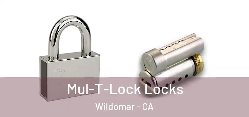  Mul-T-Lock Locks Wildomar - CA